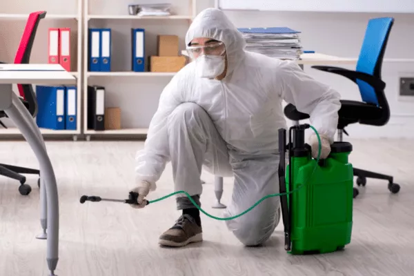 Office Pest Control