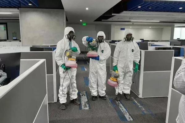 Pest Control Services